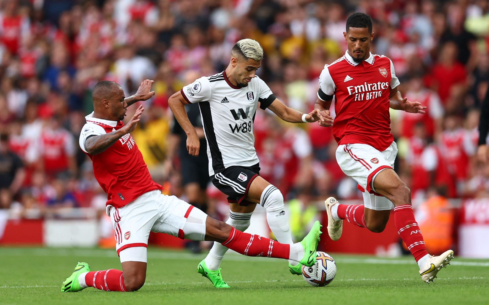 视下走上草 视下走上草